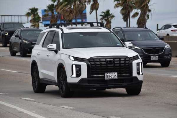 Killer New 2025 Hyundai Palisade Attracts Every Customer