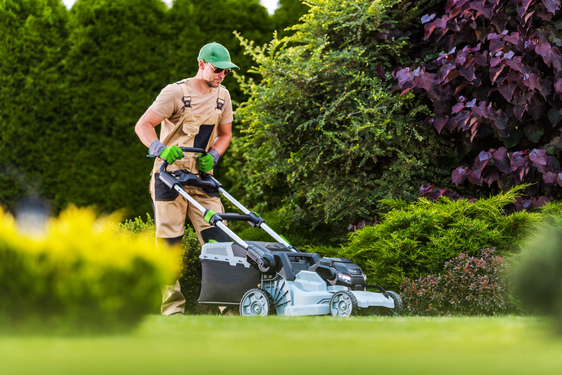 Affordable Lawn Care Solutions for Seniors